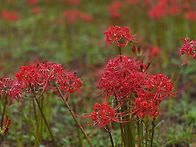 2025.09.25. 부산 운수사..