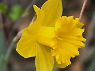 2026.03.22. 밀양시에 금..