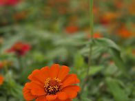 2025.10.23. 대구시 하중..