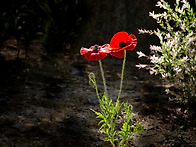 5월의 정기출사 후기입니다