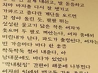 시)남대문에도 바다가 있다..