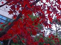 걸으면서 만난것들..