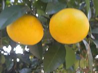 제주에서 만난것들..