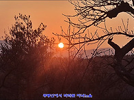 ▣ 검게 타버린 체로 봄을..