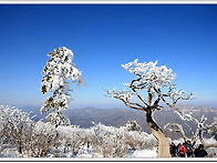 ▣ 태백산 [천제단]의 고..