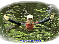 ▣봉화:- 청옥산~백천계곡..