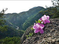 ▣ 메아리:- 20..