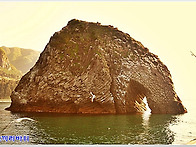 ▣ [신비의섬]= ..