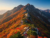 ﻿▣ 오대산5봉..