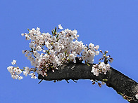 ▣ 메아리:- 20..