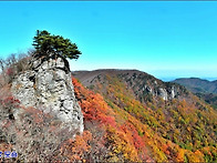 ▣ 메아리:-창립39주년 기..