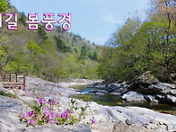 ﻿▣ 오대산:-..