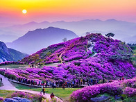 ▣ 산청/합천:- 황매산 제..