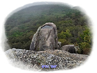 ▣ 금정산(金井山):-범어사..