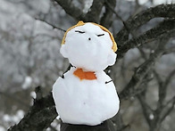 ▣ 메아리 2025..