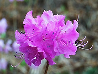 ▣ 마산:- 서마지기~무학산..