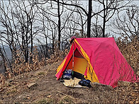 ▣ 검게 타버린 체로 봄을..