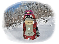 ▣ 상주:- 청화산 & 조항..