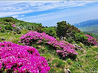 ▣ 한라산등반 &..