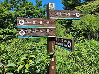 ▣ 신평:- 억새물결 출렁되..