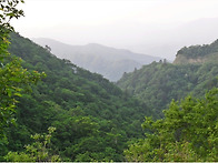 ▣ 오지산야 찾아= 구룡령..