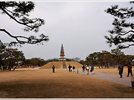 늣가을 충주탄금호의 '중앙..