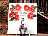 서천 마량리 동백나무숲