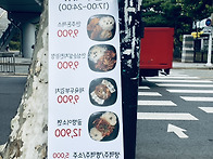 갤리