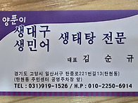 탄현 생대구 생태탕집