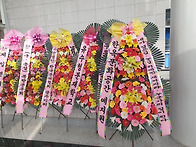 2026년 1월 드림..