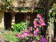 추석다음날 서울숲