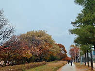 가을 가을 하네요. 한강단..