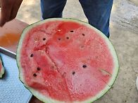 2026년7월16일양평소리산