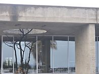 제주도 아침 산책