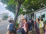 5월 제주 꼬닥 꼬..