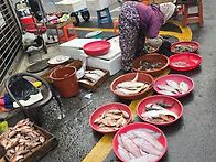 삼천포 새벽시장...