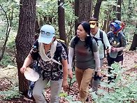평일도보 (5-21,봉산ㆍ앵봉..
