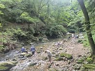 7월25일 원주 치악산 둘레..