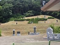 8세조 대호군 묘 참초