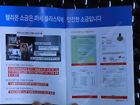 맥섬석 웰리온 구..