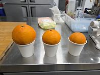과즙팡팡 노지황금..