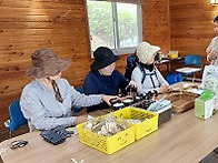 4/26-4/27: 박물관및 학습..