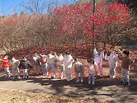 도원어린이집4-5세(11/1..