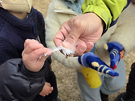 안동하나어린이집(11/17..