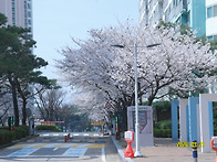 * 2026년 3월 29일 사진..