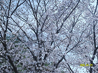 * 2026년 3월 29일 사진..