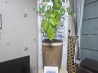 냥이 무지개다리 건넜네요