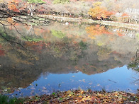 내장산 20ㅣ8 11 둘째금욜