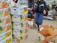 겨울 준비/감식초 만들기