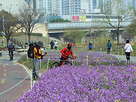 시민 힐링공간ㅡ봄 나들이..